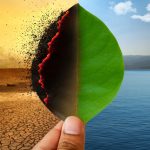Climate