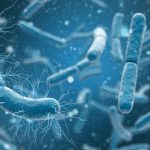 Do I need Enzymes or Bacteria for my Septic Tank?