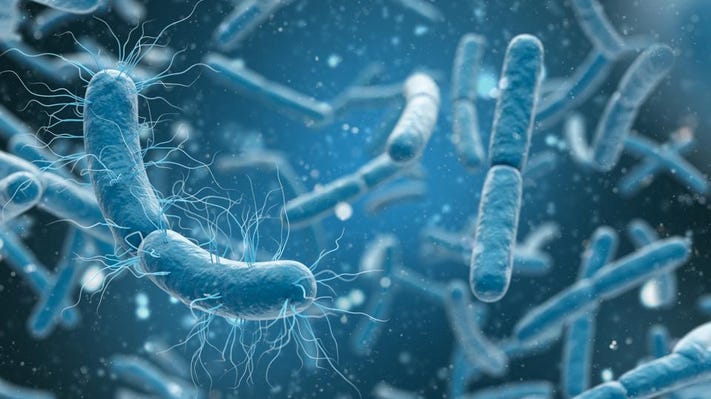 Do I need Enzymes or Bacteria for my Septic Tank?