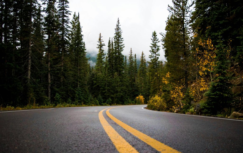 Gray and yellow road between forest