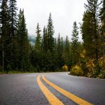 Gray and yellow road between forest